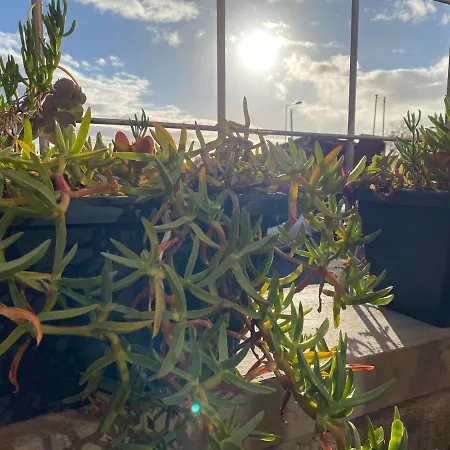 Semesterbostad Casa Da Pitanga