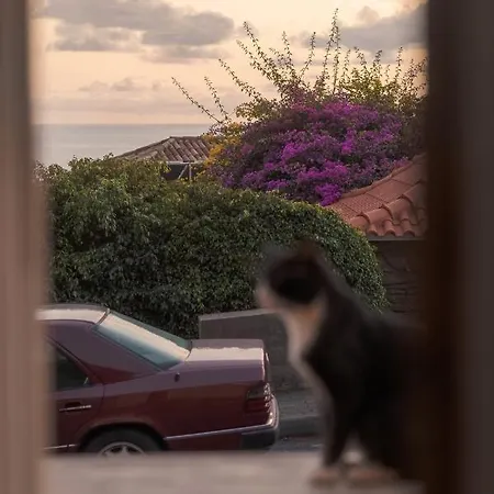 Σπίτι διακοπών Casa Da Pitanga Jardim do Mar