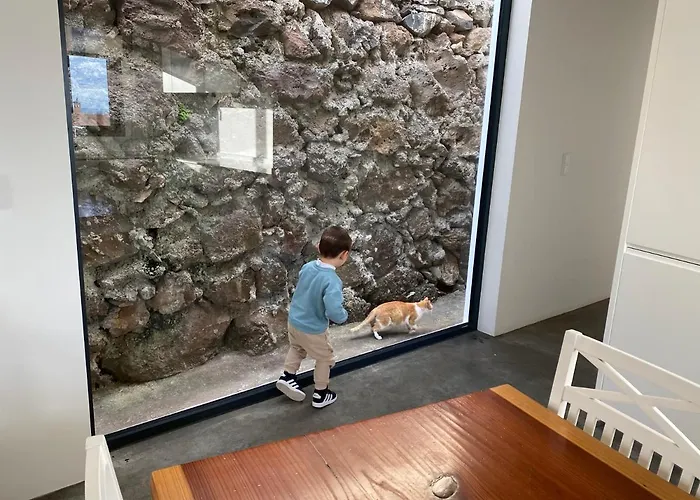 Casa Da Pitanga Jardim do Mar