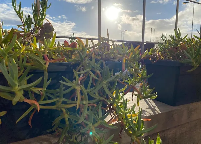 Nyaraló Casa Da Pitanga