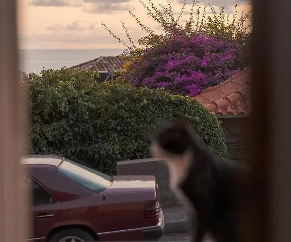 Nyaraló Casa Da Pitanga Jardim do Mar